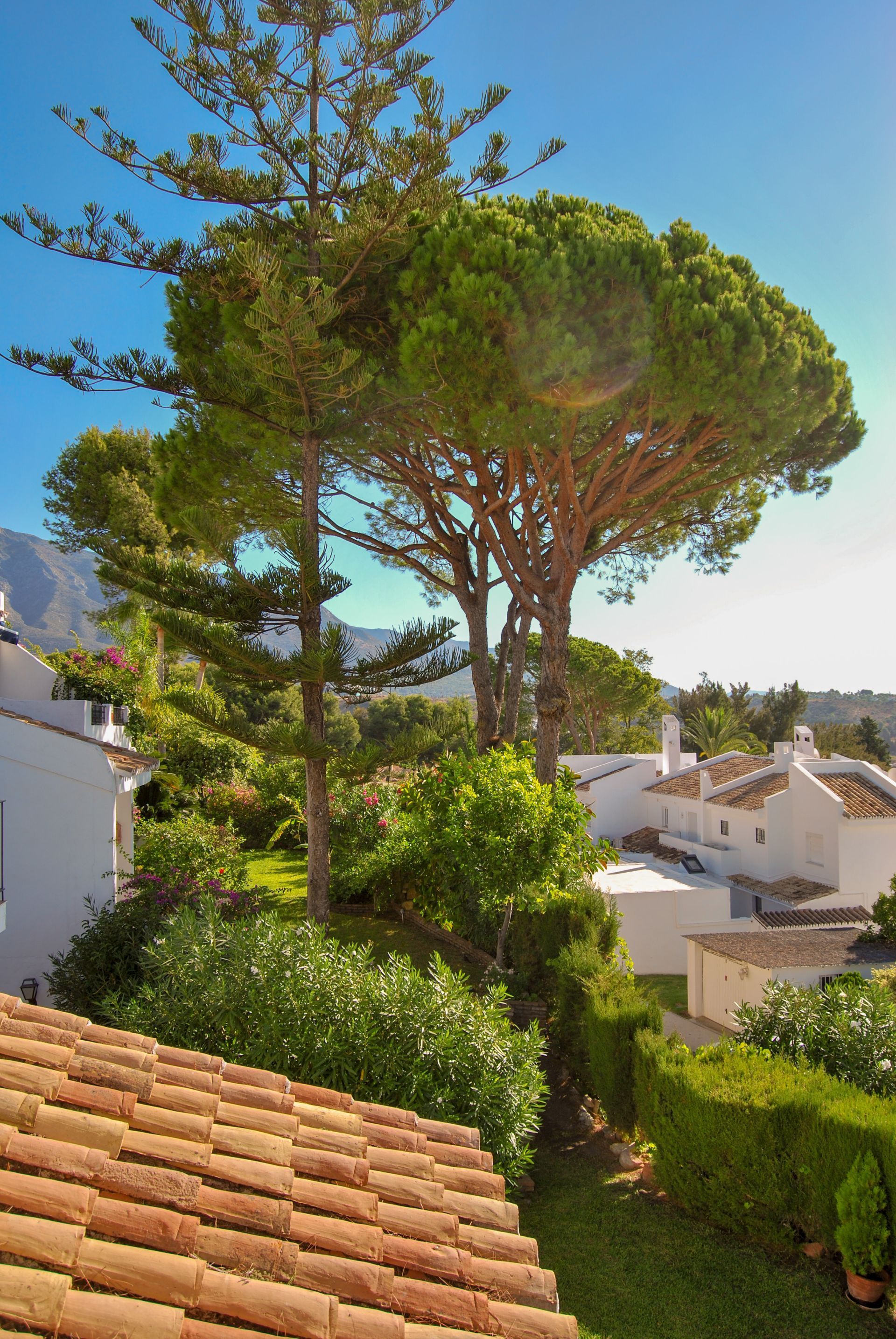 Nueva Andalucía, Marbella