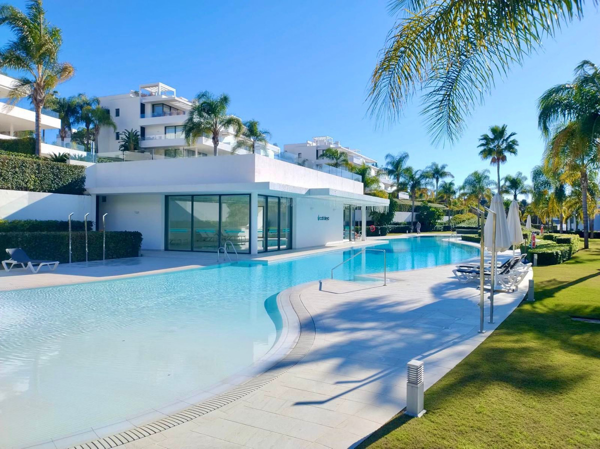 Estepona